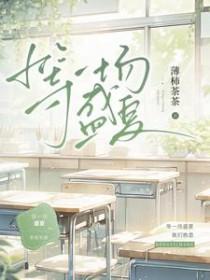 在盛夏等待好像