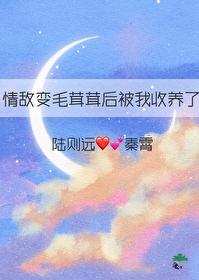 情敌变毛茸茸后被我收养了笔趣阁