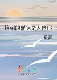 捡到猫后我成了首富