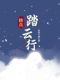 踏云道长返图