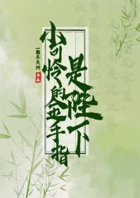 小可怜手册[快穿