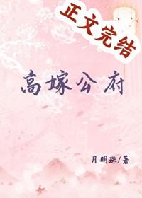 高嫁公府月明珠附带番外