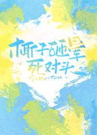 椰子能砸死人吗