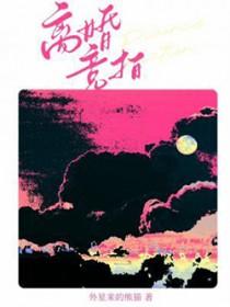 离婚竞拍讲的什么