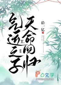 气运之子天命回归by拾一亿百度