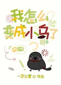 刀剑乱舞同人女主