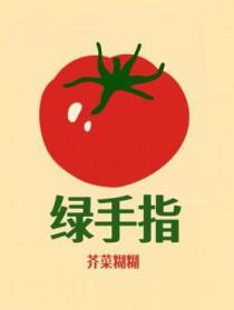 绿手指贴敷