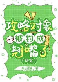 攻略对象出了错内容简介