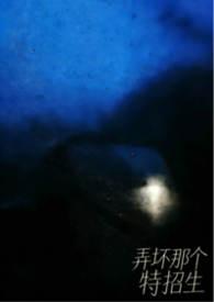 弄坏的弄