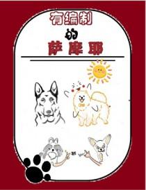 有编制的萨摩耶by笔趣阁