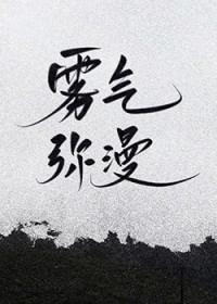 雾气弥漫是不是四字词语