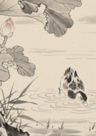 全京城都在等我掉马全文免费
