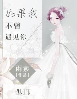 如果我不曾遇见你歌词完整版