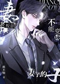 老板是不能变成妻子的免费阅读txt