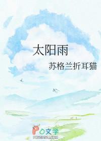 太阳雨太阳能热水器控制器说明书
