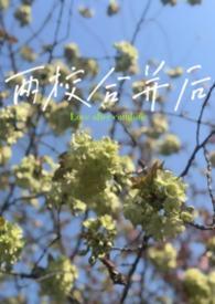 两校合并如何尽快融合