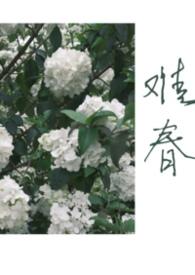 难兄难妹电影