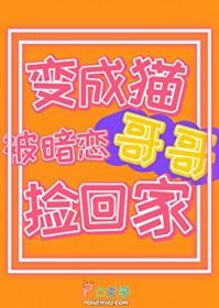 毛茸的b