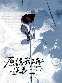 原谅我不再送花长佩