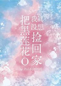 我真没想撒狗粮
