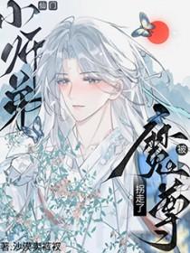 魔尊与师尊不得不说的二三事