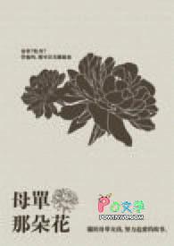 单朵花包装