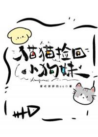 猫咪捡回来