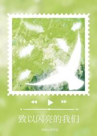 致以闪亮的我们TXT
