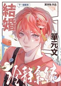结婚冷静系统TXT百度