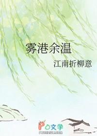 雾港余温电视剧