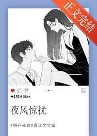 夜风惊扰by明开夜合讲的什么