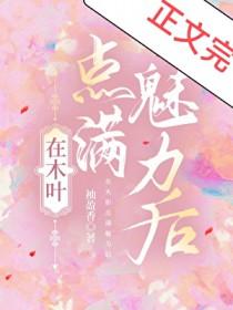 我在木叶打卡