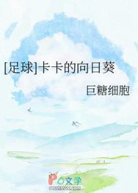 卡卡足球壁纸