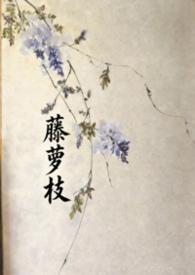 藤萝枝 JUE