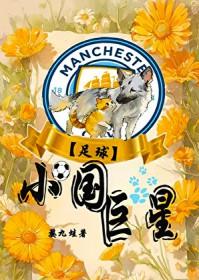 小国家的足球明星