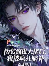 伪装大佬科举