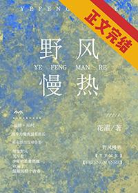 野风歌词含义
