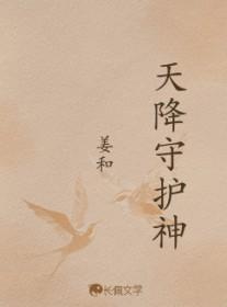 天降护卫txt