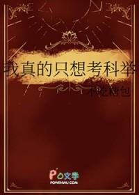 我真的只想考科举/今朝折桂 不吃糖包
