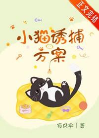 小猫诱捕方案txt百度