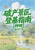 破产景区登基指南种田百度