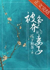 被争夺的妻子元湛