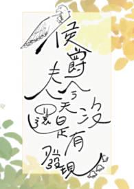 侯爵夫人钻石