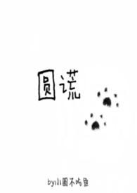 圆谎公司