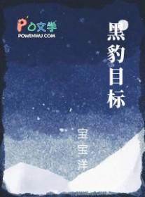 黑豹主题
