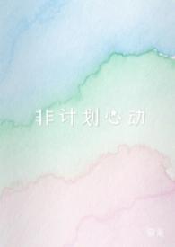 非计划时间表是什么