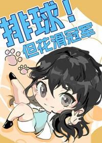 综漫排球少年原创男主