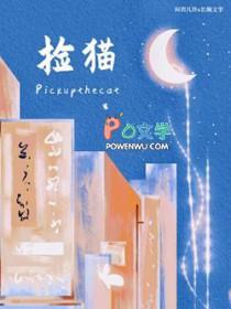 捡猫咪回家养有什么说法?