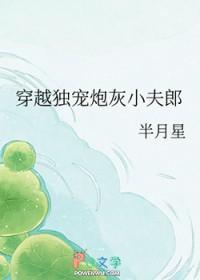 穿越独宠炮灰小夫郎的