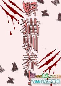 野猫驯养魏承则